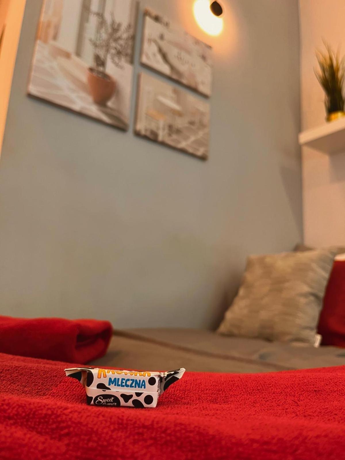 Special 1 Bed Center Leilighet *